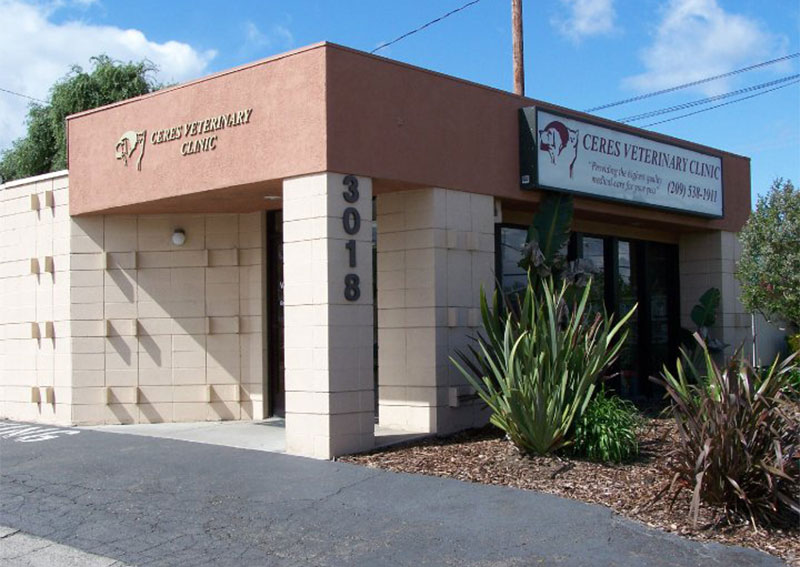 EMPIRE VETERINARY CLINIC - 11 Photos & 28 Reviews - 5132 Yosemite